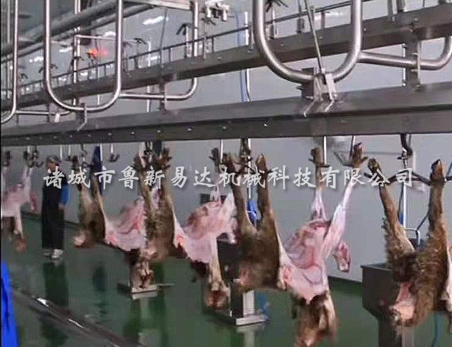 羊屠宰流水线
