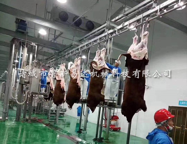 牛胴体加工输送机