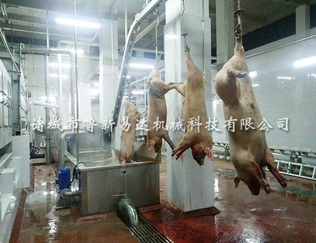 猪烫池脱毛