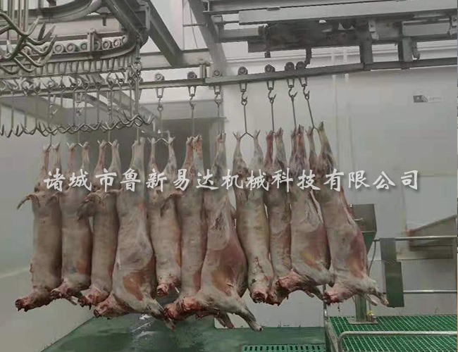 猪脱毛清洗